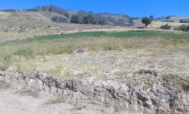 TERRENO EN SAMANGA