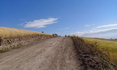 TERRENO EN SAMANGA