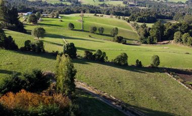 Parcela en venta en Los Muermos, Prado Norte - Región de Los Lagos