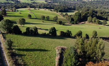 Parcela en venta en Los Muermos, Prado Norte - Región de Los Lagos