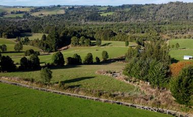Parcela en venta en Los Muermos, Prado Norte - Región de Los Lagos
