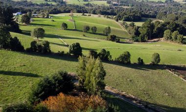 Parcela en venta en Los Muermos, Prado Norte - Región de Los Lagos