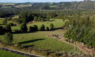 Parcela en venta en Los Muermos, Prado Norte - Región de Los Lagos