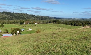 Parcela en venta en Los Muermos, Prado Norte - Región de Los Lagos