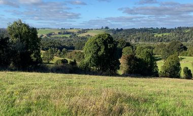 Parcela en venta en Los Muermos, Prado Norte - Región de Los Lagos