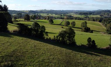 Parcela en venta en Los Muermos, Prado Norte - Región de Los Lagos