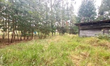 TERRENO EN VENTA EN EL VALLE, SECTOR SAN ANTONIO DE MALUAY