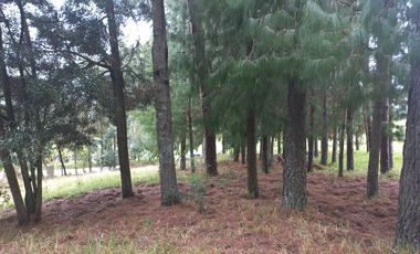 TERRENO EN VENTA EN EL VALLE, SECTOR SAN ANTONIO DE MALUAY