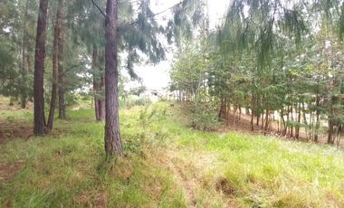 TERRENO EN VENTA EN EL VALLE, SECTOR SAN ANTONIO DE MALUAY