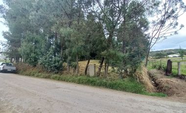 TERRENO EN VENTA EN EL VALLE, SECTOR SAN ANTONIO DE MALUAY