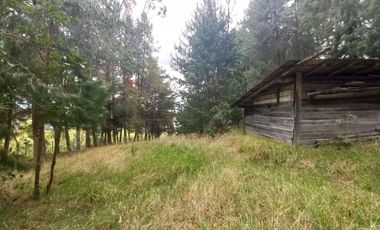 TERRENO EN VENTA EN EL VALLE, SECTOR SAN ANTONIO DE MALUAY