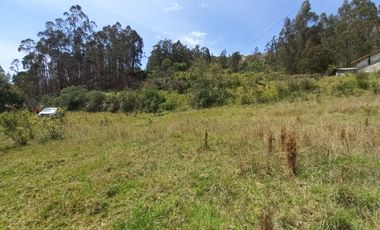 TERRENO EN VENTA EN DELEG, SECTOR SIGSIPAMBA