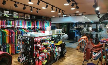 PR18249 Arriendo de Local en Aguacatala