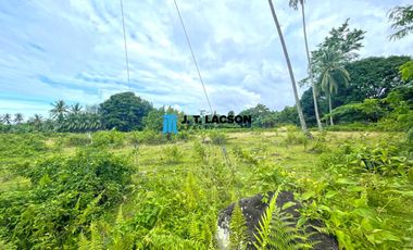 Subdivided Lots for Sale in Bacong, Negros Oriental