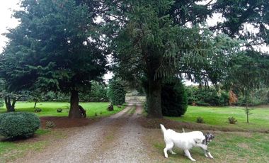 Sector Pancul, Parcela 1,46 Há con Casa UF 10.500.