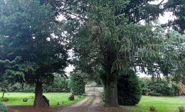 Sector Pancul, Parcela 1,46 Há con Casa UF 10.500.