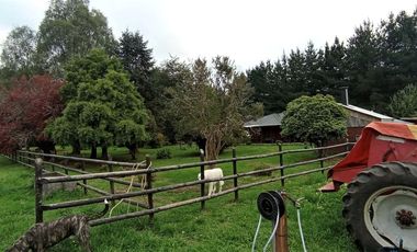 Sector Pancul, Parcela 1,46 Há con Casa UF 10.500.