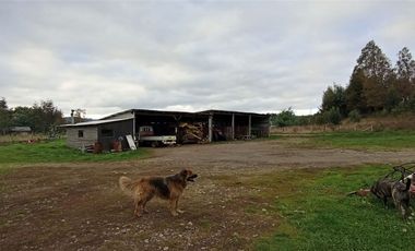 Sector Pancul, Parcela 1,46 Há con Casa UF 10.500.