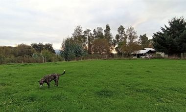 Sector Pancul, Parcela 1,46 Há con Casa UF 10.500.