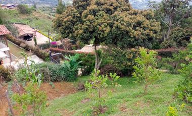 Finca con casa y loza para otro piso, Vereda san isidro Guarne a 10 minutos de la Autopista
