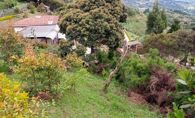 Finca con casa y loza para otro piso, Vereda san isidro Guarne a 10 minutos de la Autopista