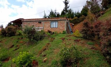 Finca con casa y loza para otro piso, Vereda san isidro Guarne a 10 minutos de la Autopista