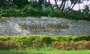 Manila Southwoods | Lot For Sale - #3864