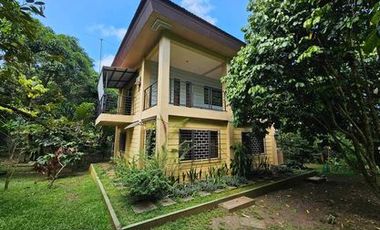Spacious Mini Farm with House for Sale in Puan Davao City
