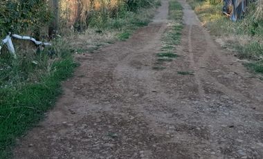 Parcela en Parral, Linares. V 1468-200-LR-01.23