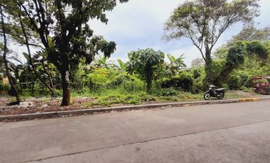 4,181sqm Industrial Commercial Vacant Lot For Rent in taytay