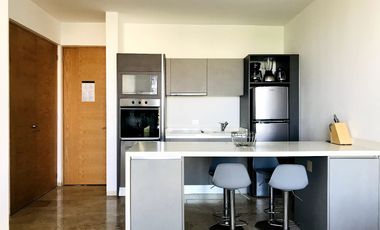 1 BEDROOM DWNTOWN PLAYA DEL CARMEN THE SHORE BIULDING