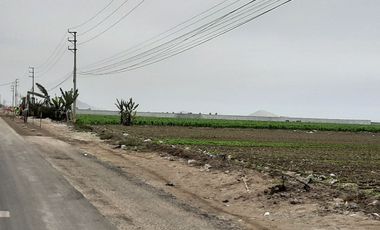 MEGAPUERTO  VENDO TERRENO DE 35,000 m2