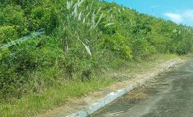 Overlooking 243 sqm RESIDENTIAL LOT FOR SALE in Crown Heights Compostela Cebu