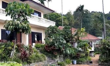 DIJUAL Hotel wisata Prigen, Hotel wisata. Butuh renov