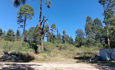 MI BOSQUE  LOTES GRANDES  CERCA DE PREPA IBERO,  SALAZAR, LA MARQUEZA, LOS ENCINOS,  STA. FE,  LOS ENCINOS, LERMA