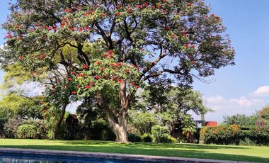 Hermosa Casa Quinta, estilo colonial, extenso jardín y frondosos arboles.