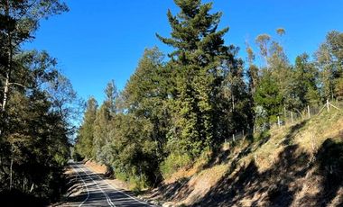 Vendo parcela con agua y luz camino a Villarrica  Sesta faja