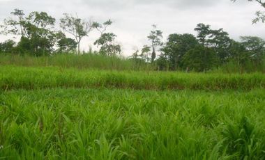 Finca, Acacías, Meta