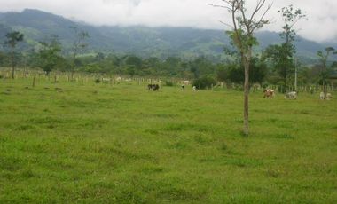 Finca, Acacías, Meta