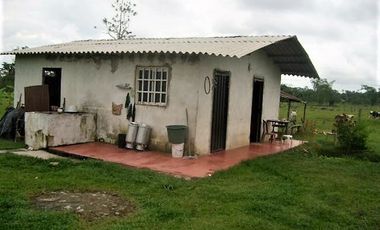 Finca, Acacías, Meta