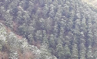 Finca Productora Abejorral