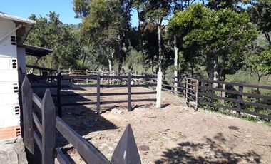 Finca Productora Abejorral