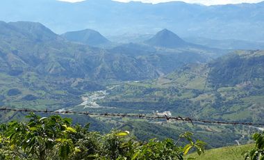 Finca Productora Abejorral