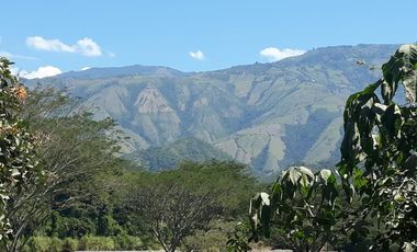 Finca Productora Abejorral