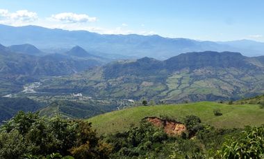 Finca Productora Abejorral