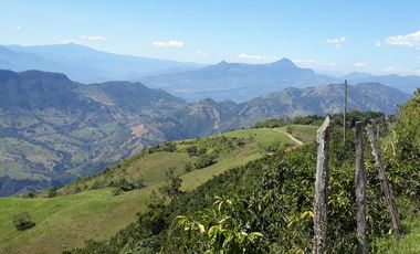 Finca Productora Abejorral
