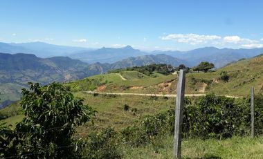 Finca Productora Abejorral