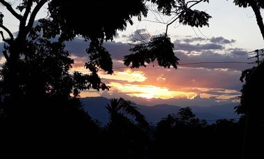 Finca Productora Abejorral