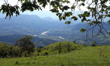 Finca Productora Abejorral