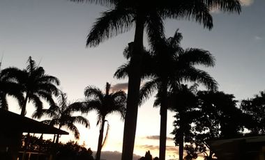 Finca Productora Abejorral